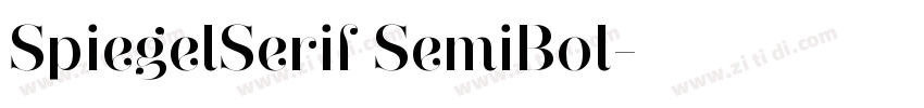 SpiegelSerif SemiBol字体转换